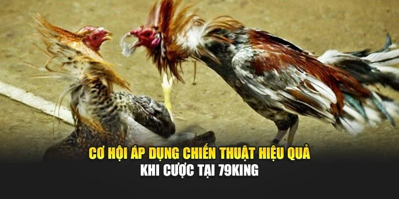 Cơ hội áp dụng chiến thuật hiệu quả khi cược tại 79KING