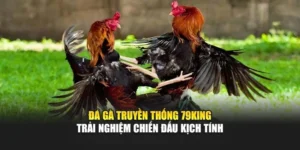 Đá Gà Truyền Thống