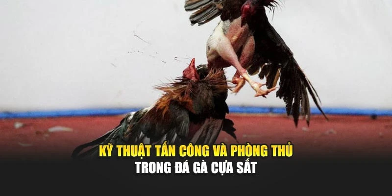 Kỹ thuật tấn công và phòng thủ trong đá gà cựa sắt