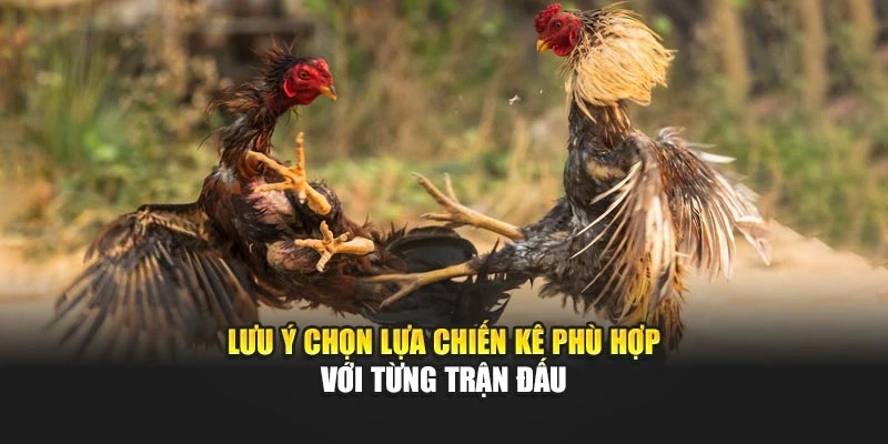 Lưu ý chọn lựa chiến kê phù hợp với từng trận đấu