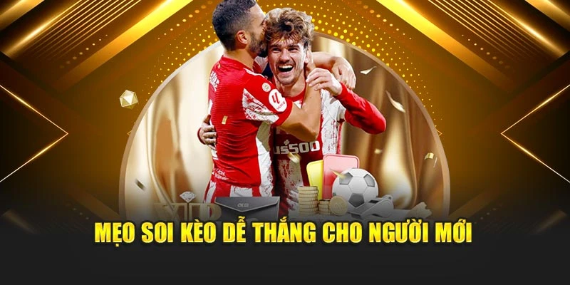 Mẹo soi kèo dễ thắng cho người mới