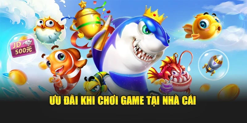 Ưu đãi khi chơi game tại nhà cái